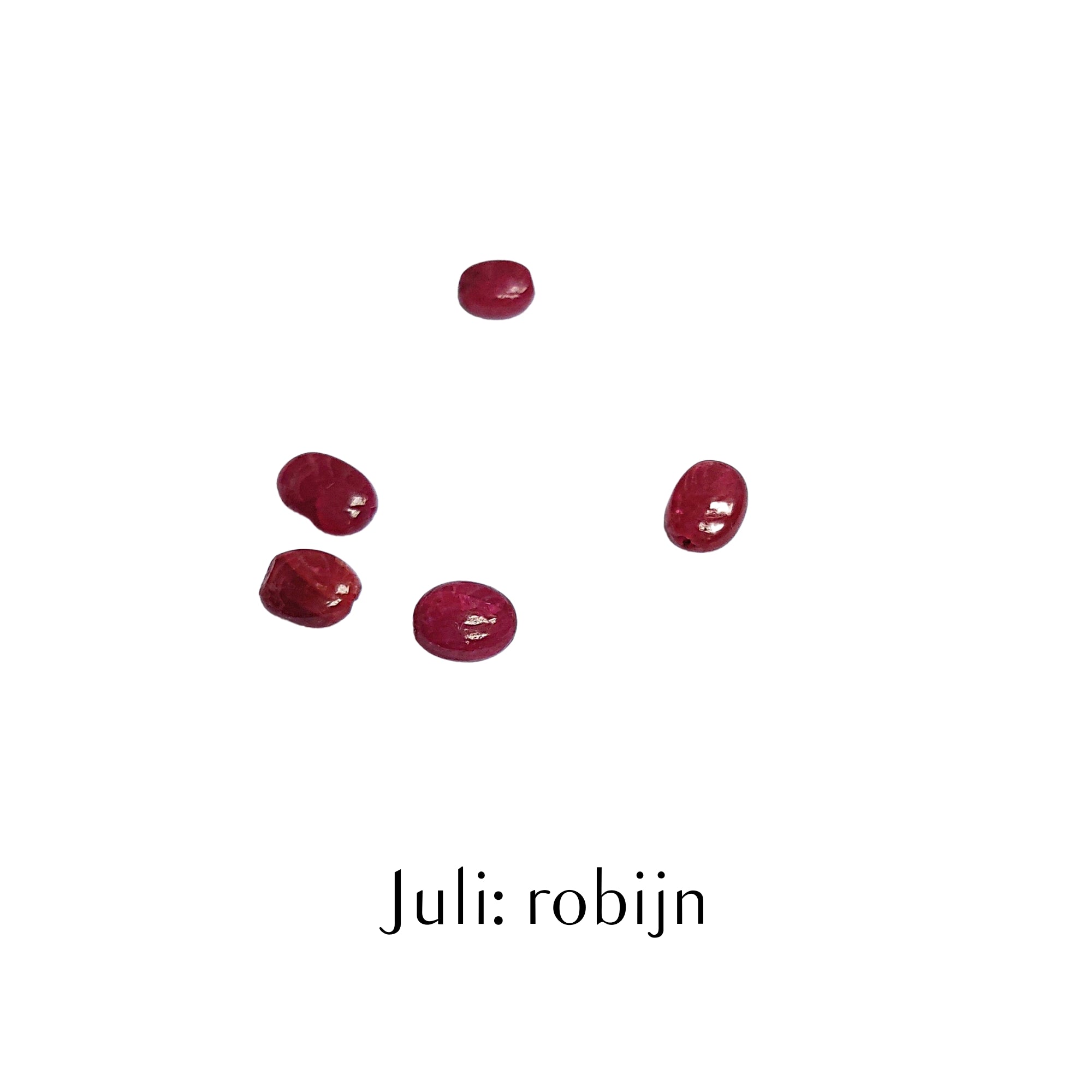 Geboortesteen bedel armband - Jewels with Flair