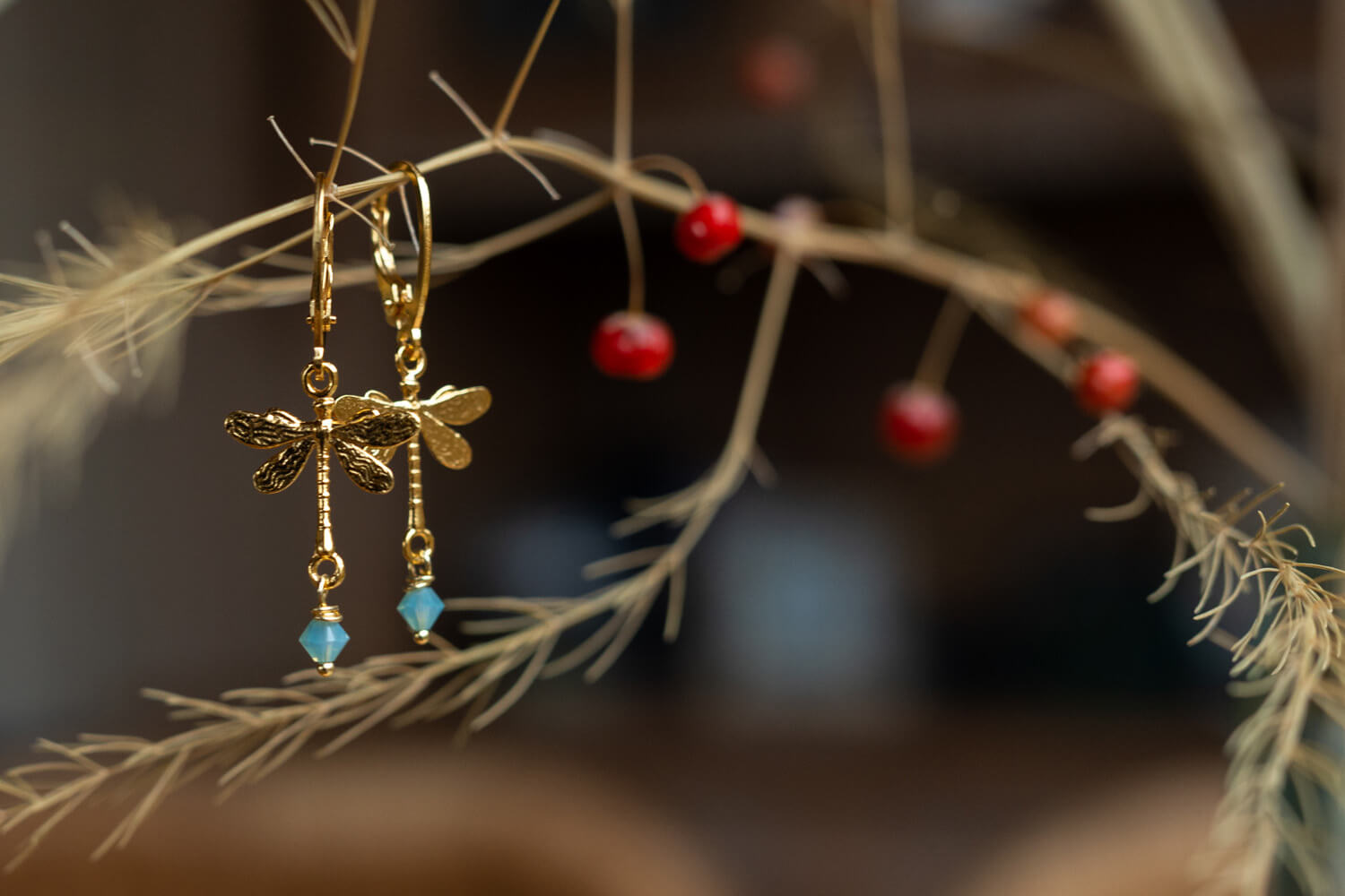 Sieraden met libellen