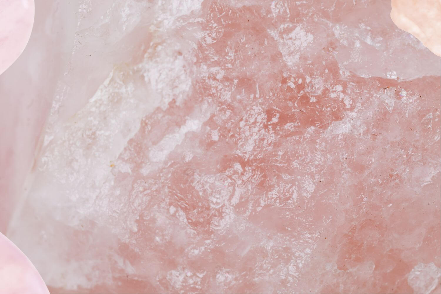 Rozenkwarts oorbellen: zachtroze Flair met een symbolische betekenis